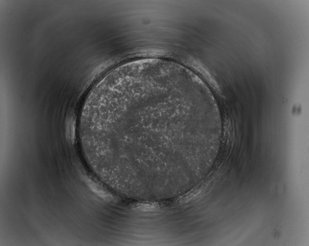 X0000099940110200806201130