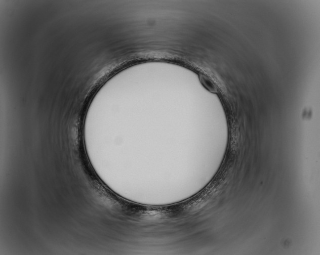 X0000099940111200806201130