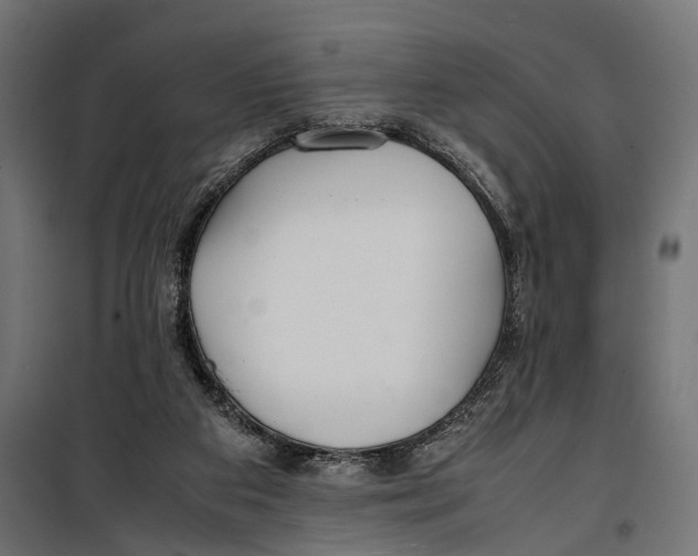 X0000099940113200806201130