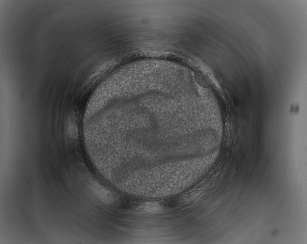 X0000099940114200806201130