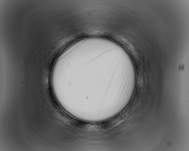 X0000099940115200806201130