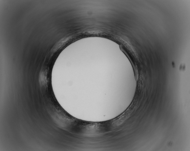 X0000099940116200806201130