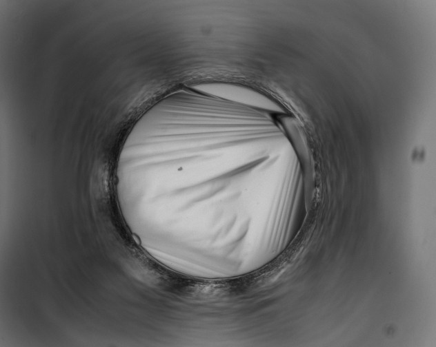 X0000099940117200806201130