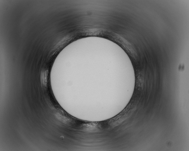 X0000099940118200806201130