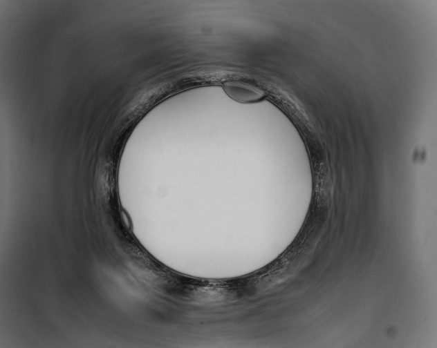 X0000099940119200806201130