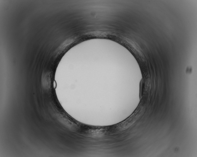 X0000099940120200806201130
