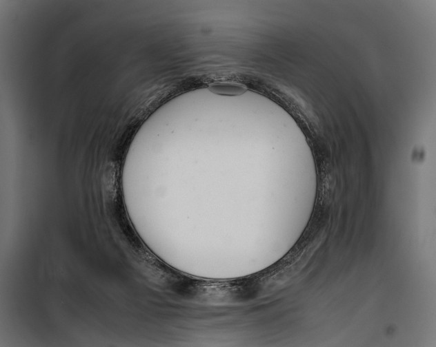 X0000099940121200806201130