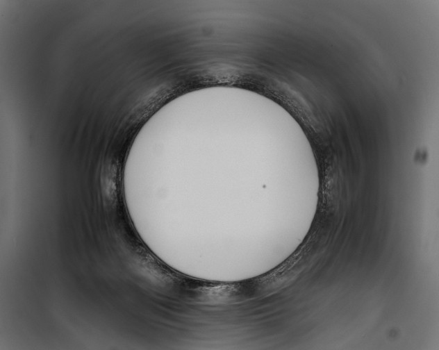 X0000099940122200806201130