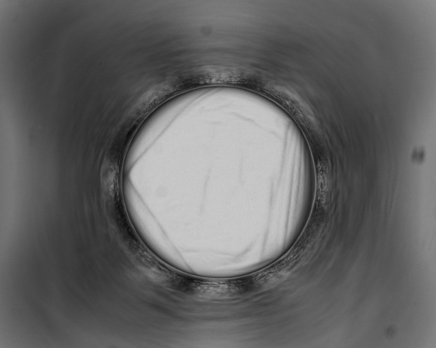 X0000099940123200806201130