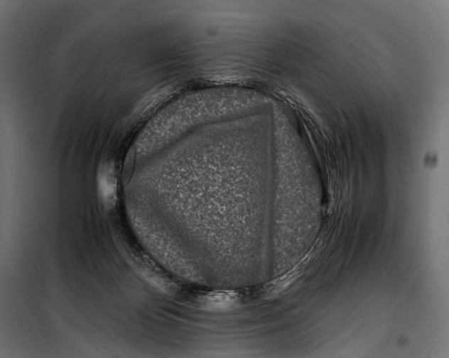 X0000099940124200806201130