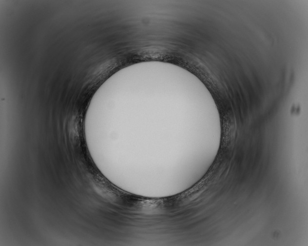 X0000099940126200806201130