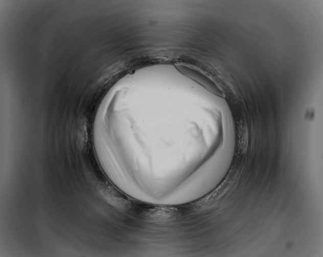 X0000099940128200806201130