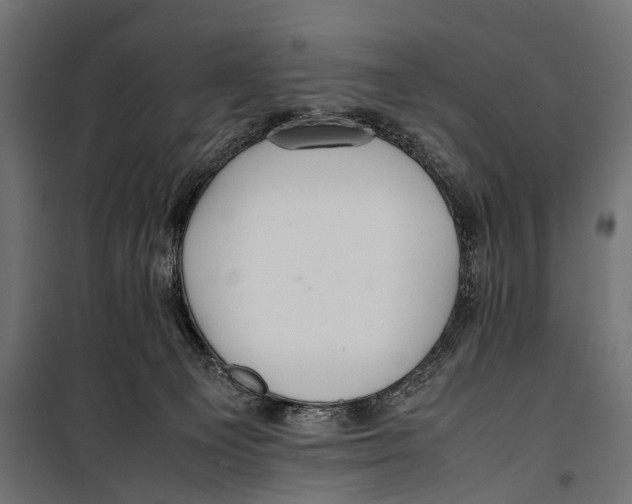 X0000099940129200806201130