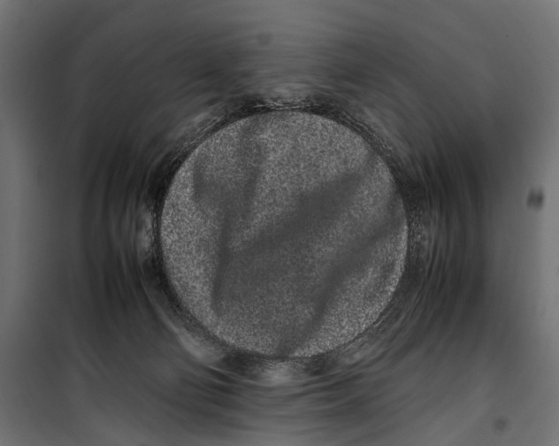 X0000099940130200806201130