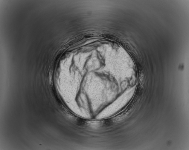 X0000099940131200806201129
