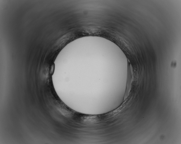 X0000099940132200806201129