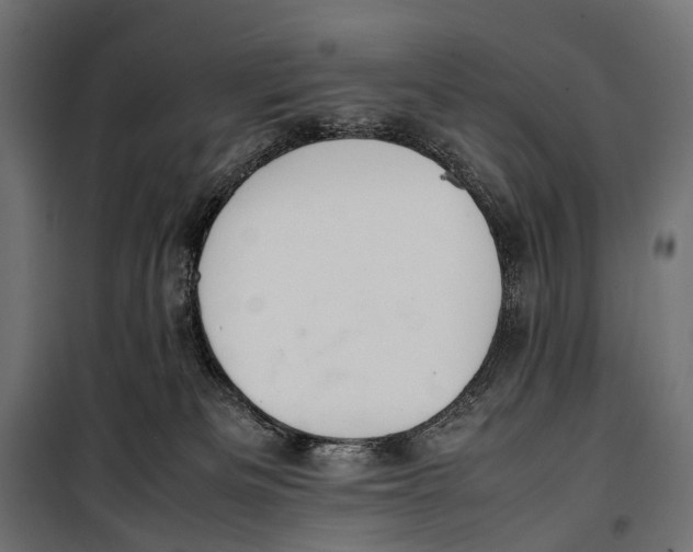 X0000099940133200806201129
