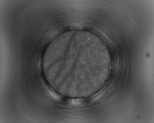 X0000099940134200806201129