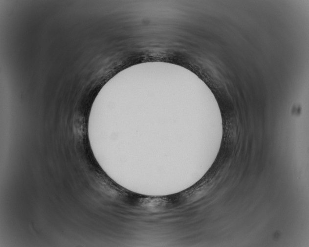 X0000099940135200806201129
