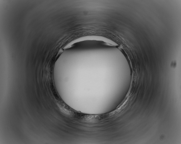 X0000099940136200806201129