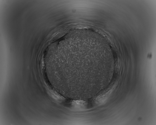 X0000099940137200806201129