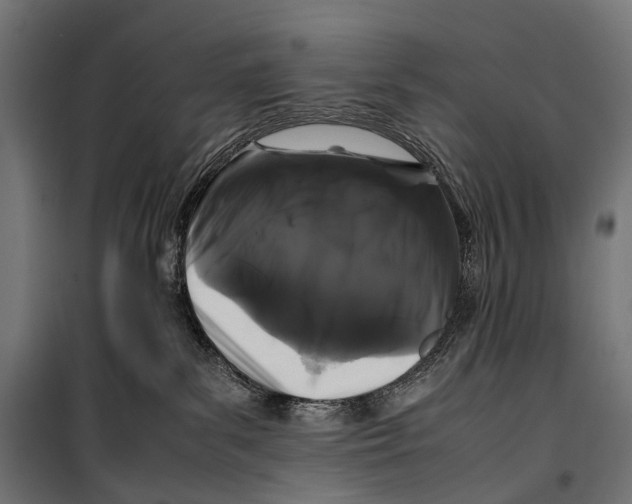 X0000099940139200806201129