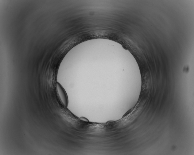 X0000099940140200806201129