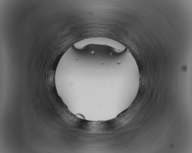 X0000099940141200806201129