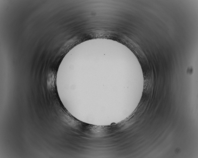 X0000099940142200806201129