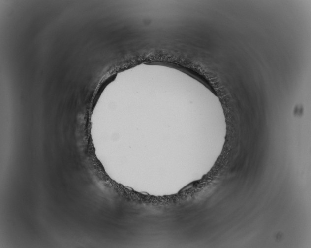 X0000099940144200806201129