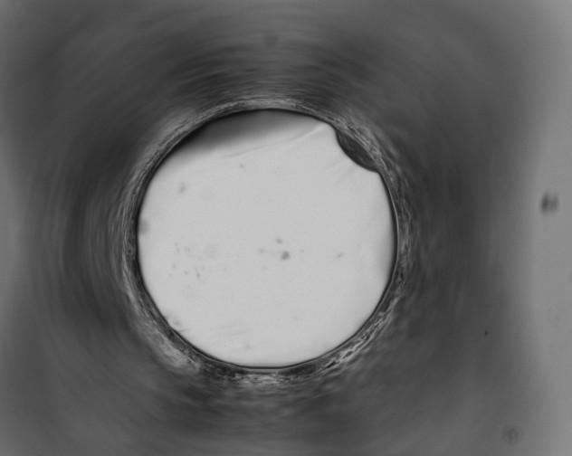 X0000099940145200806201128