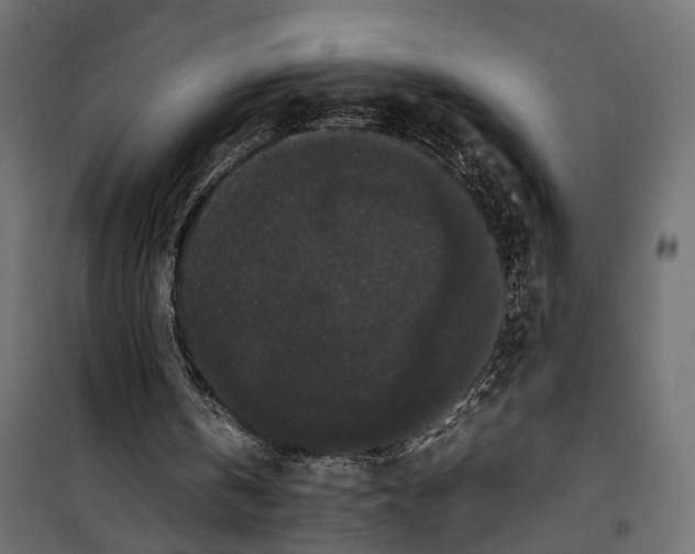 X0000099940146200806201128