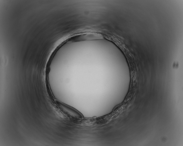 X0000099940148200806201128