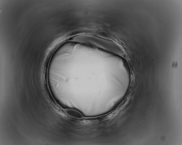 X0000099940149200806201128