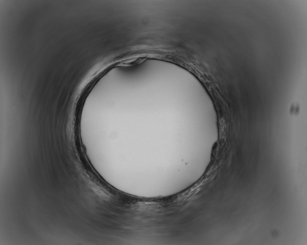 X0000099940150200806201128