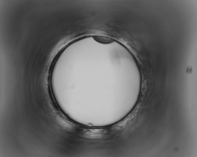 X0000099940151200806201129
