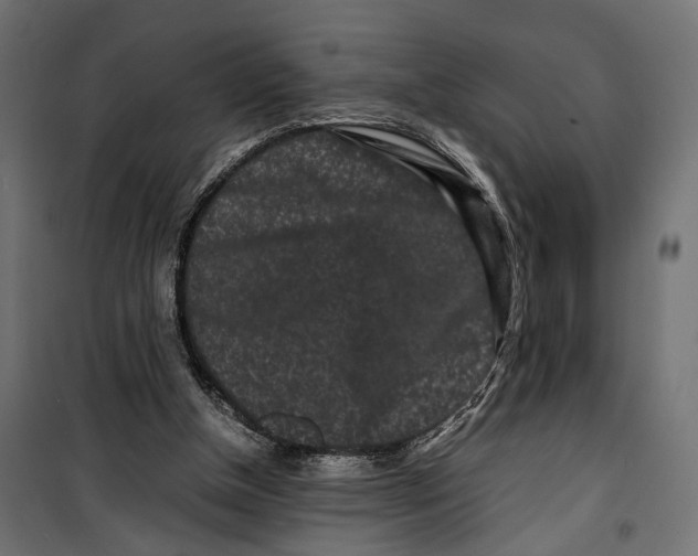 X0000099940154200806201129