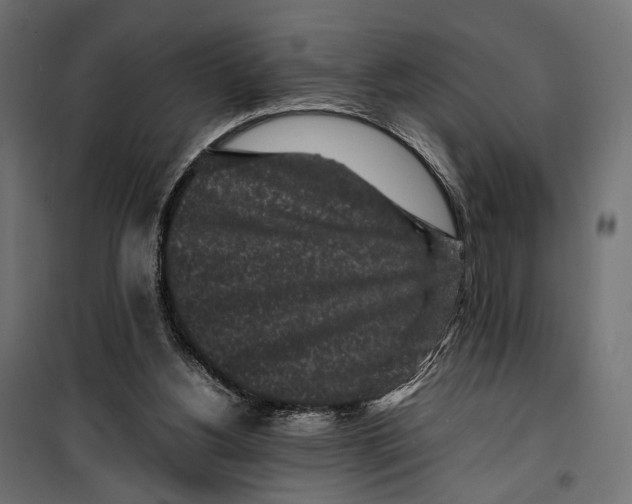 X0000099940156200806201129