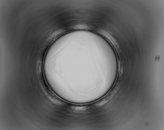 X0000099940157200806201129