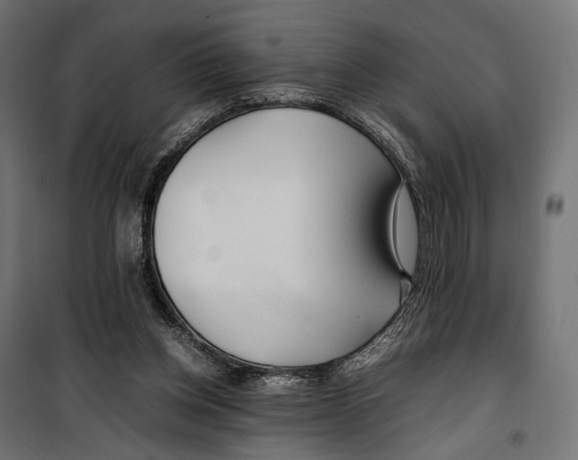 X0000099940158200806201129