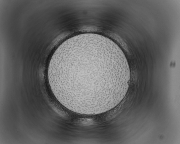 X0000099940159200806201129
