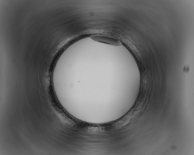 X0000099940160200806201129