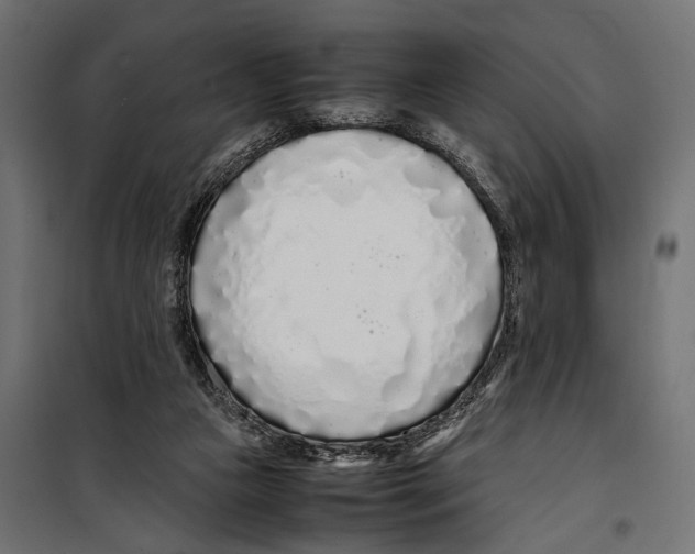X0000099940161200806201129