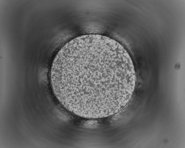 X0000099940162200806201129