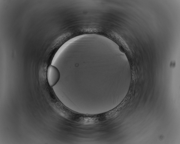 X0000099940163200806201129