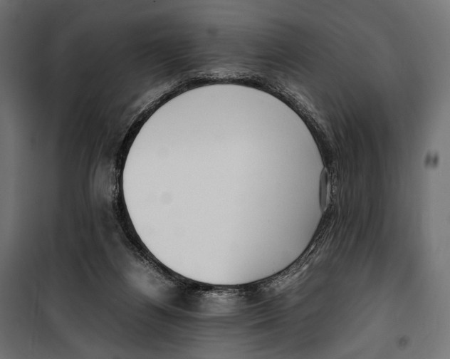 X0000099940164200806201129