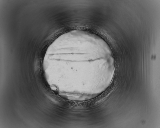 X0000099940165200806201129