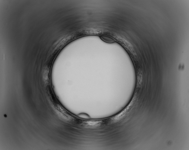 X0000099940166200806201129