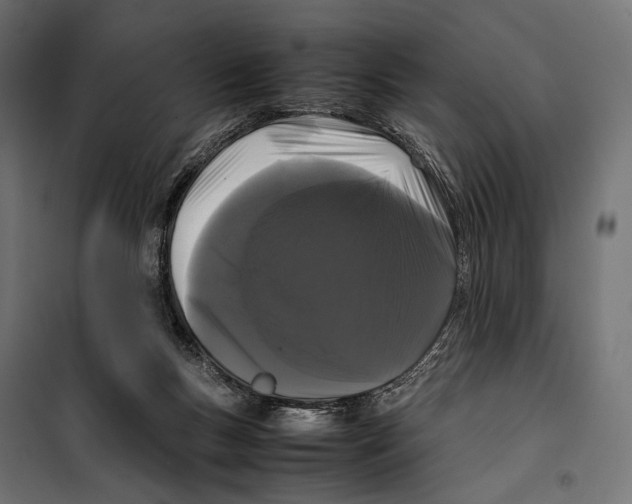 X0000099940167200806201129