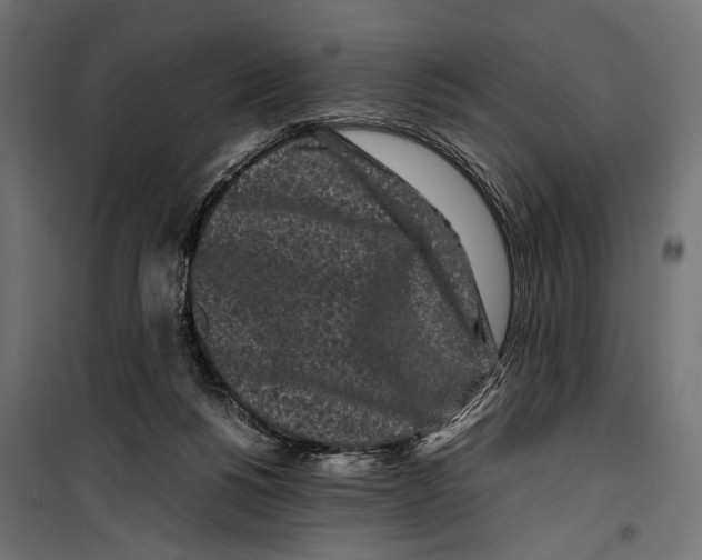X0000099940168200806201129